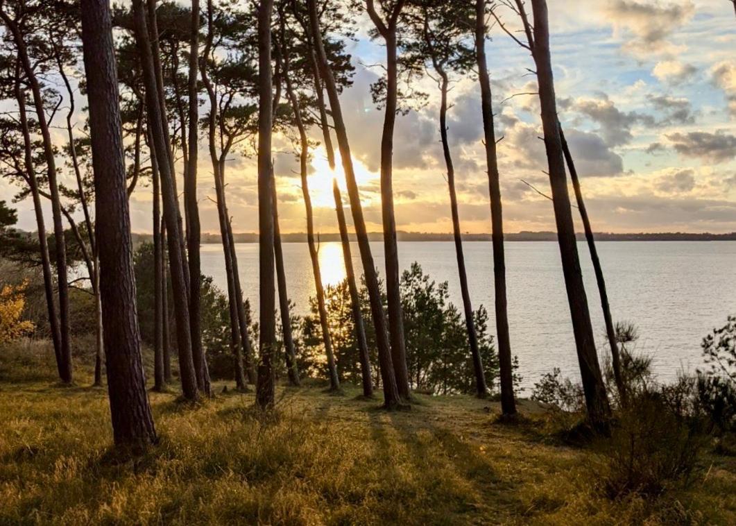 Tallskog - Dein Apartment Am Naturstrand Hohen Wieschendorf Hohenkirchen  Экстерьер фото